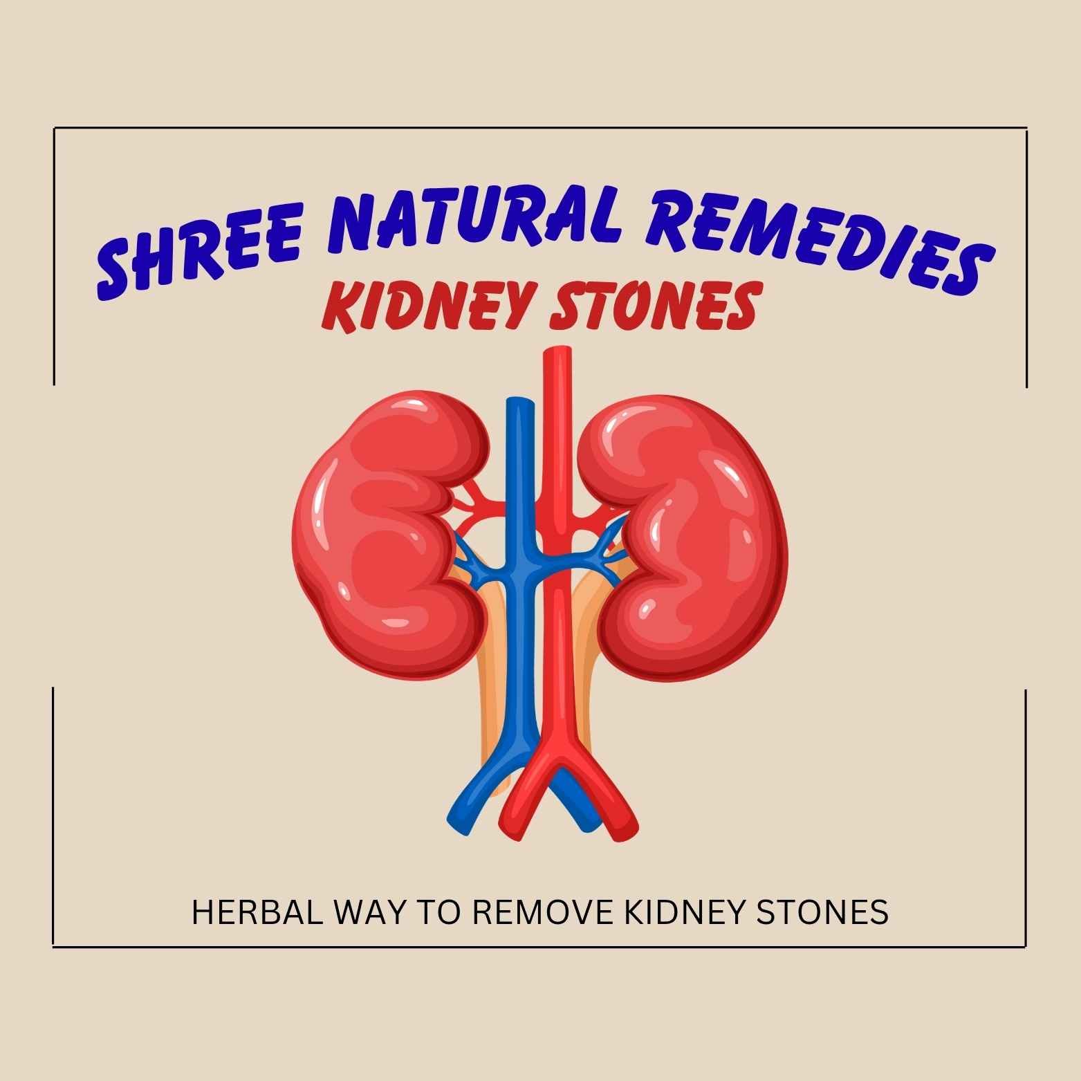 Kidney